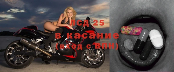 хмурый Абаза