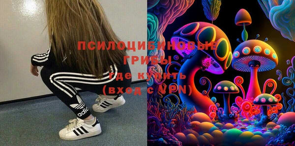 хмурый Абаза