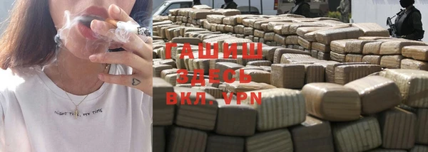 хмурый Абаза