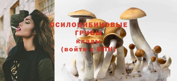 не бодяженный Абинск