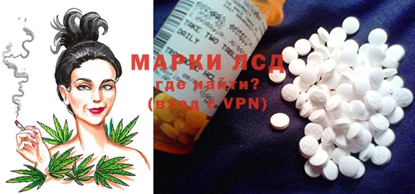 хмурый Абаза