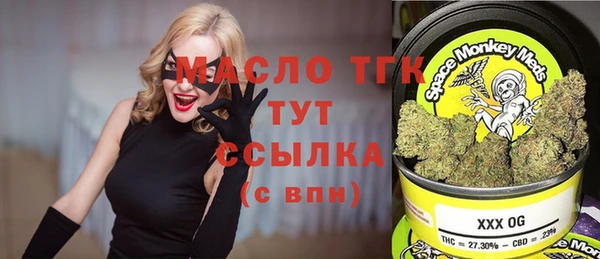 хмурый Абаза