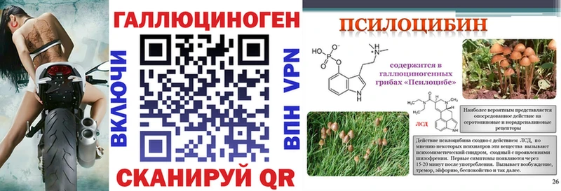 blacksprut ССЫЛКА Суоярви Псилоцибиновые грибы прущие грибы хочу